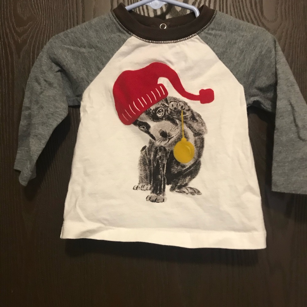 Joe Boxer puppy shirt